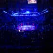 UFC MMA ring