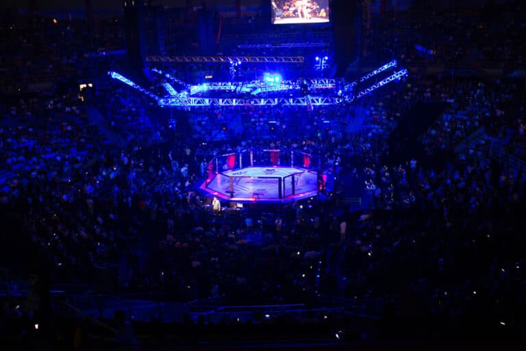 The UFC MMA octagon